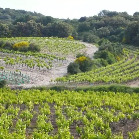Dom wakacyjny Charming In The Heart Of Fons-sur-Lussan